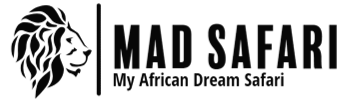 Mad Safari